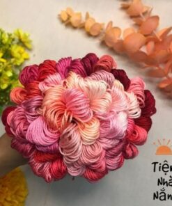 Set Chỉ Thêu Airo- Tone Hồng