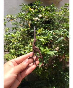 Kéo Hạc Cắt Chỉ 11,5cm - Kéo Hạc Handmade- Kéo Không Gỉ